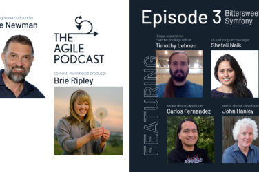 The Agile Podcast - Brie Ripley