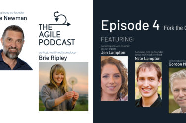 The Agile Podcast - Blake Newman
